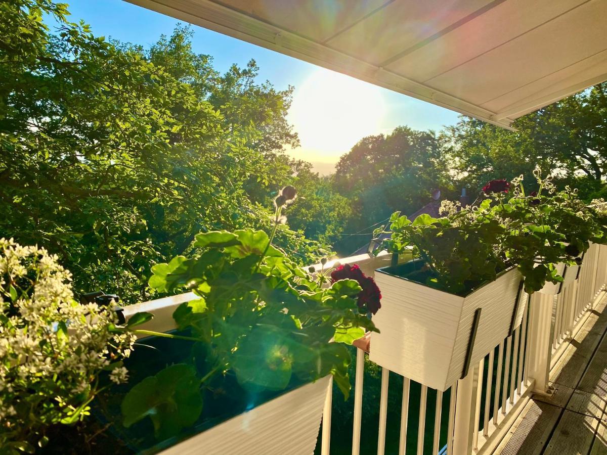 Ferienwohnung Natur Und Kunst Dresden Eksteriør billede