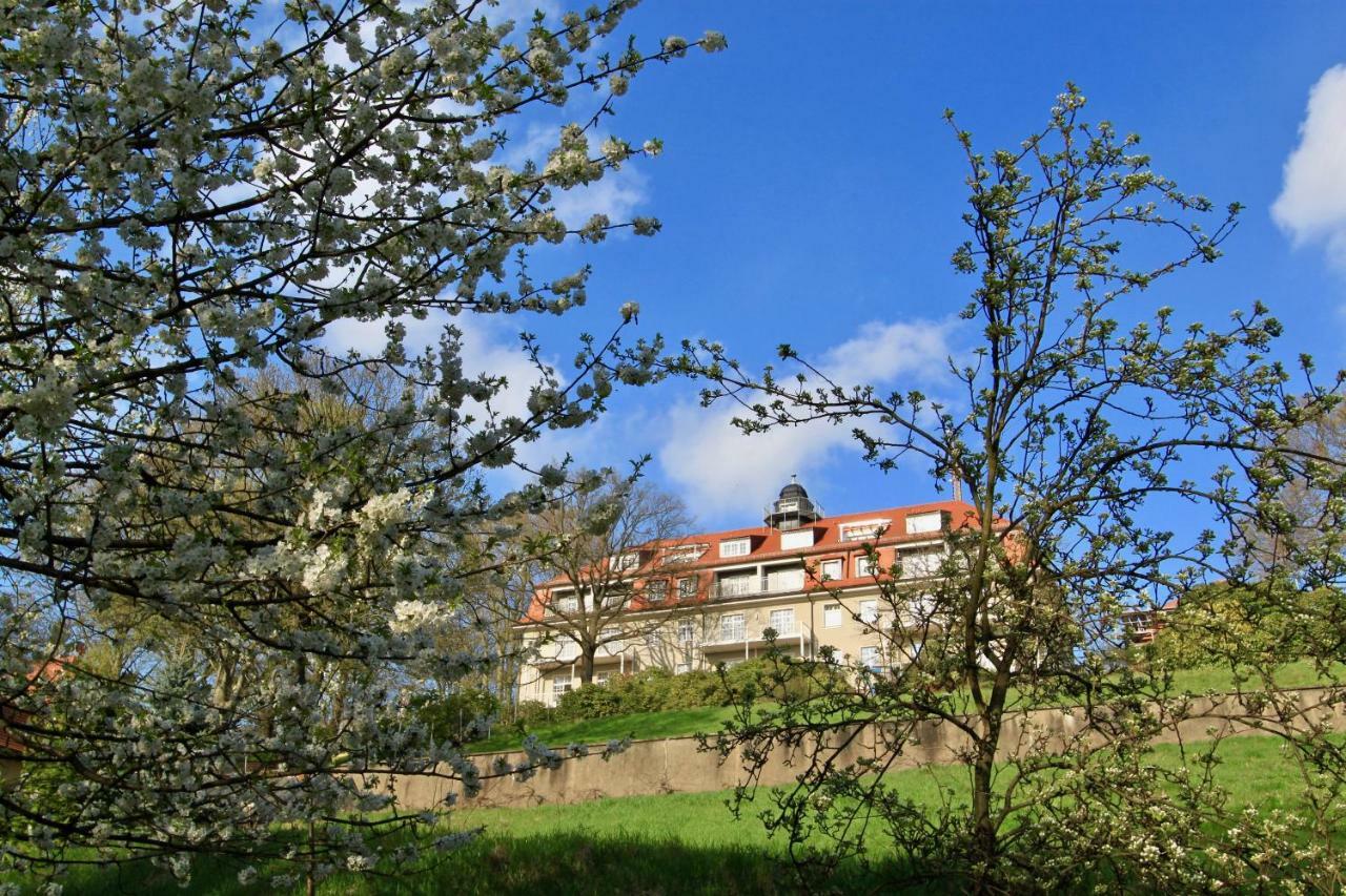 Ferienwohnung Natur Und Kunst Dresden Eksteriør billede
