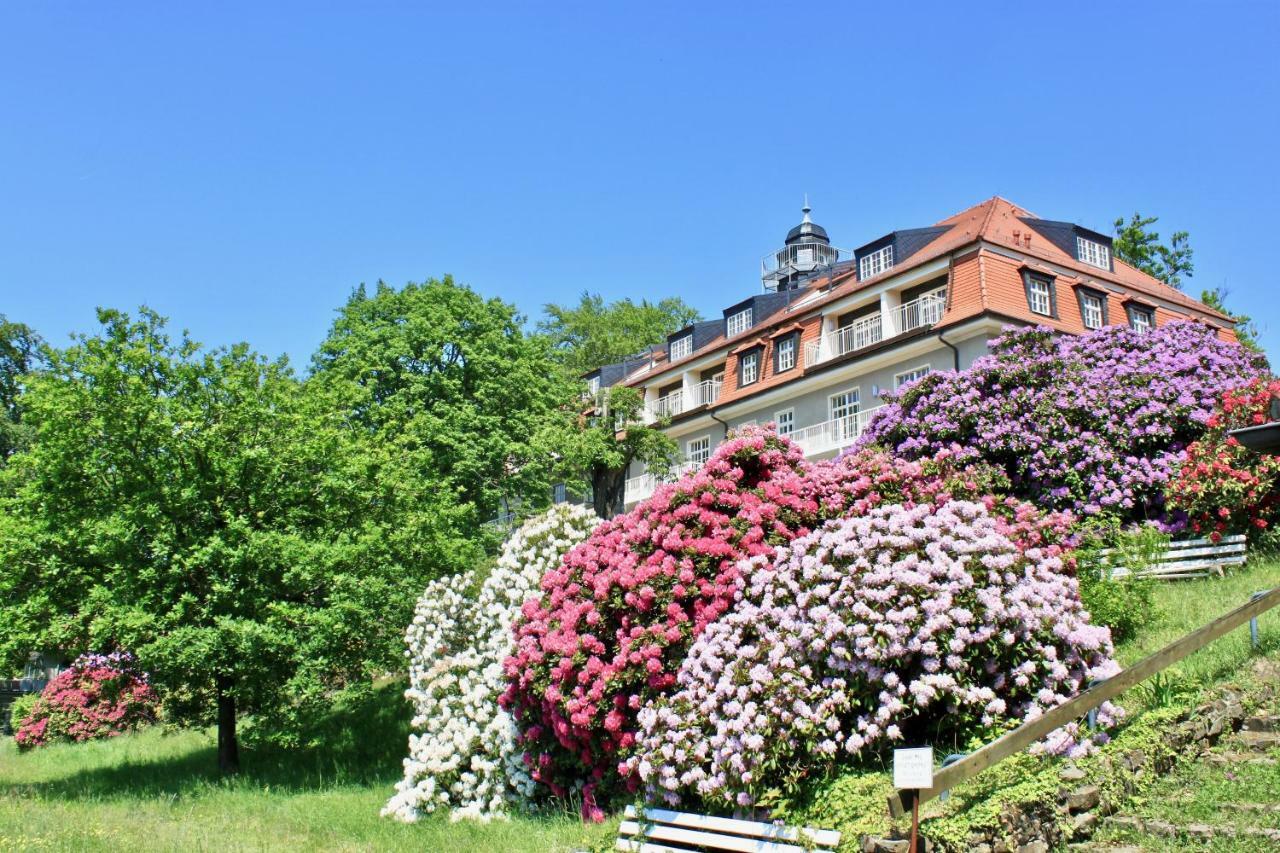 Ferienwohnung Natur Und Kunst Dresden Eksteriør billede