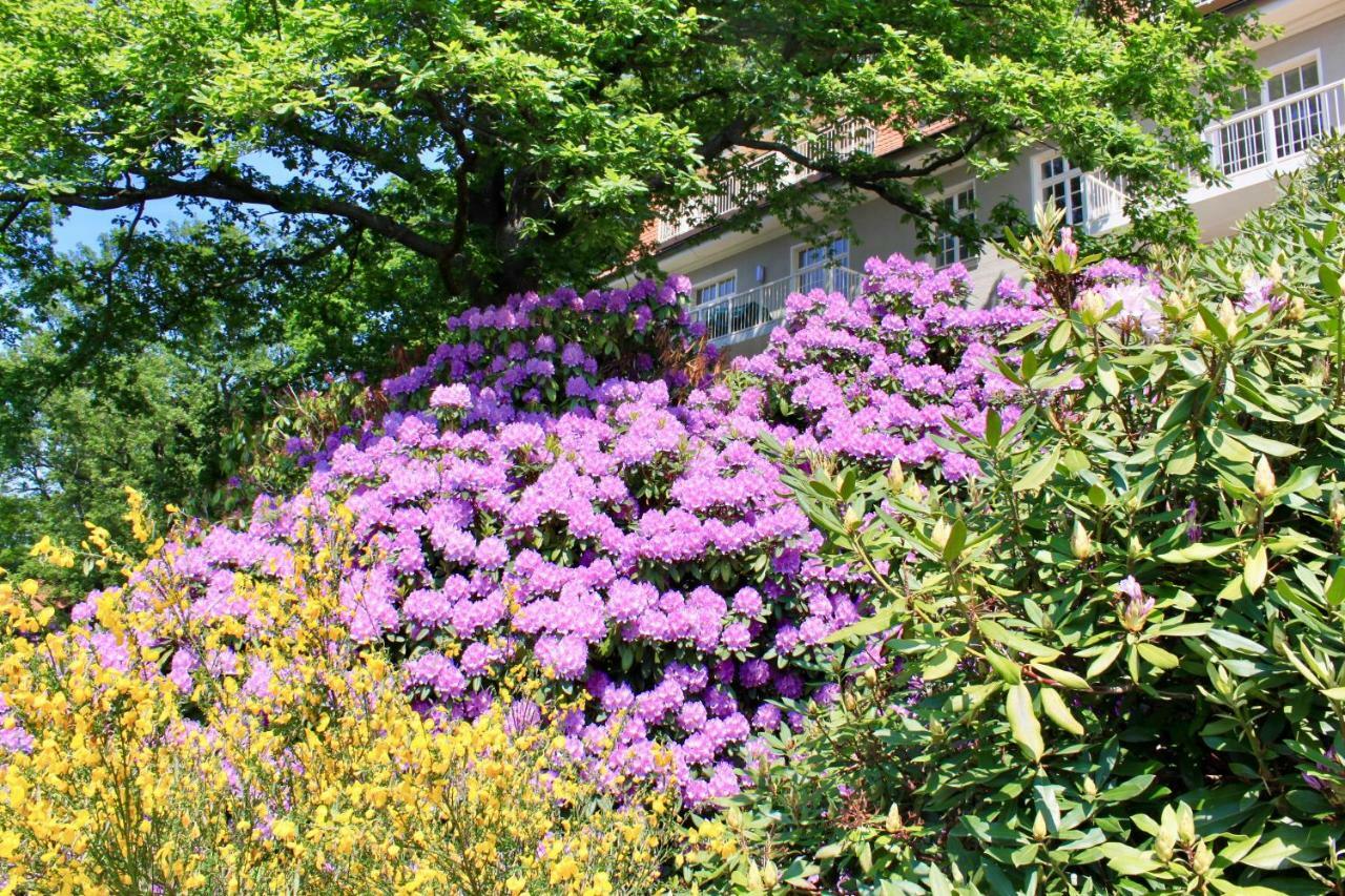 Ferienwohnung Natur Und Kunst Dresden Eksteriør billede