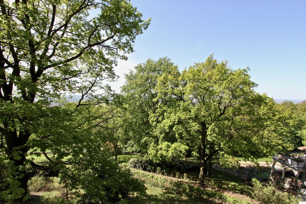 Ferienwohnung Natur Und Kunst Dresden Eksteriør billede