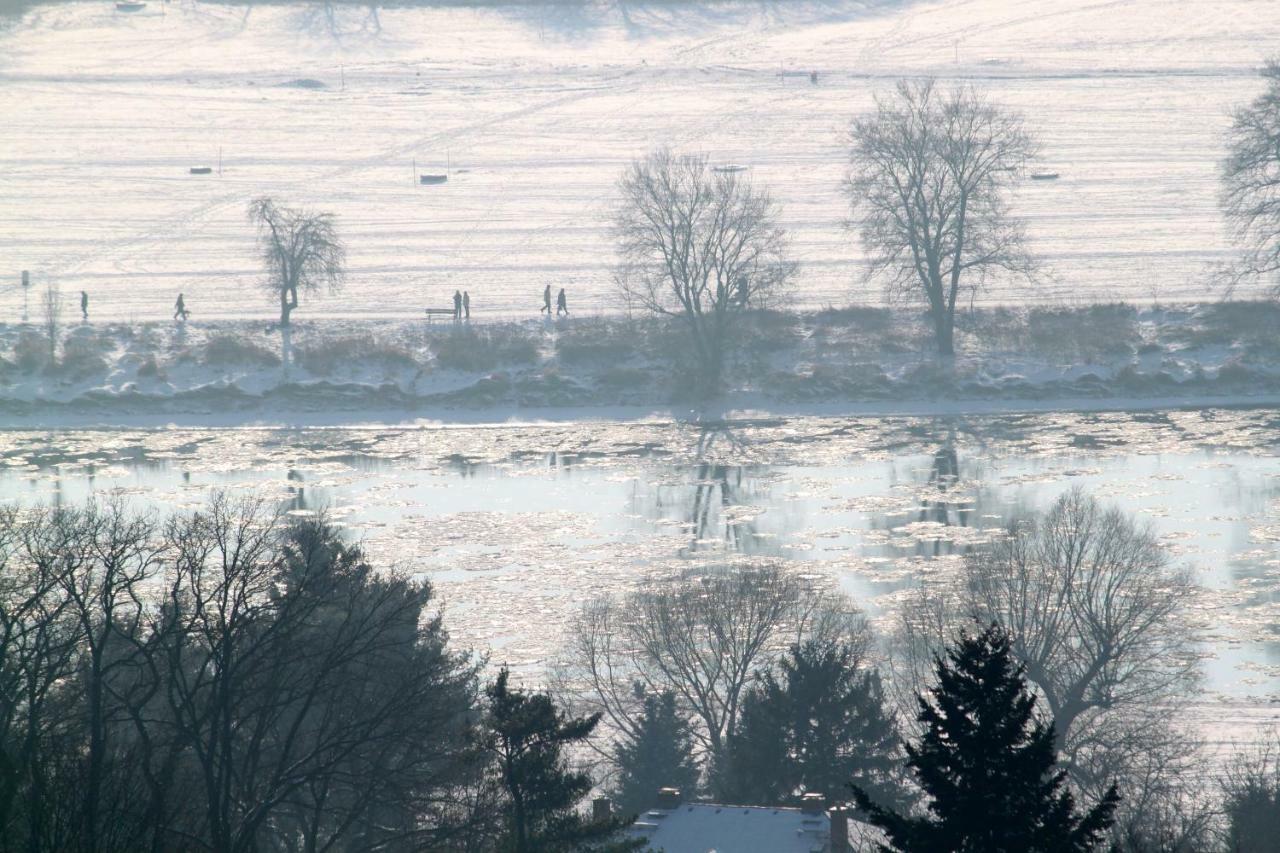 Ferienwohnung Natur Und Kunst Dresden Eksteriør billede
