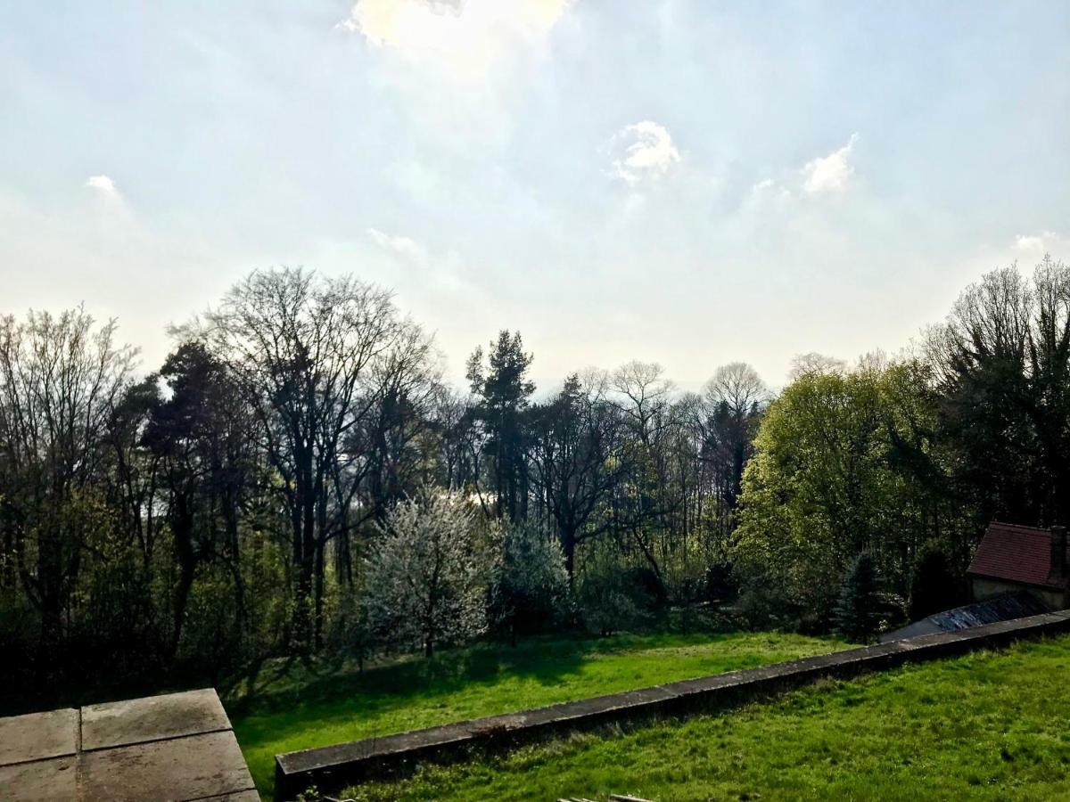 Ferienwohnung Natur Und Kunst Dresden Eksteriør billede