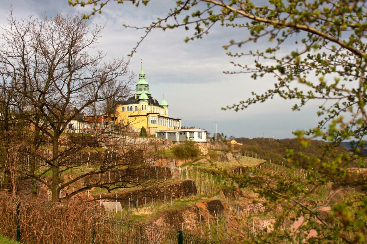 Ferienwohnung Natur Und Kunst Dresden Eksteriør billede