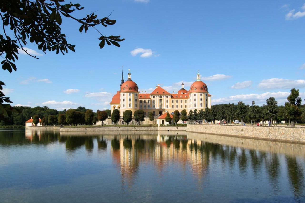 Ferienwohnung Natur Und Kunst Dresden Eksteriør billede
