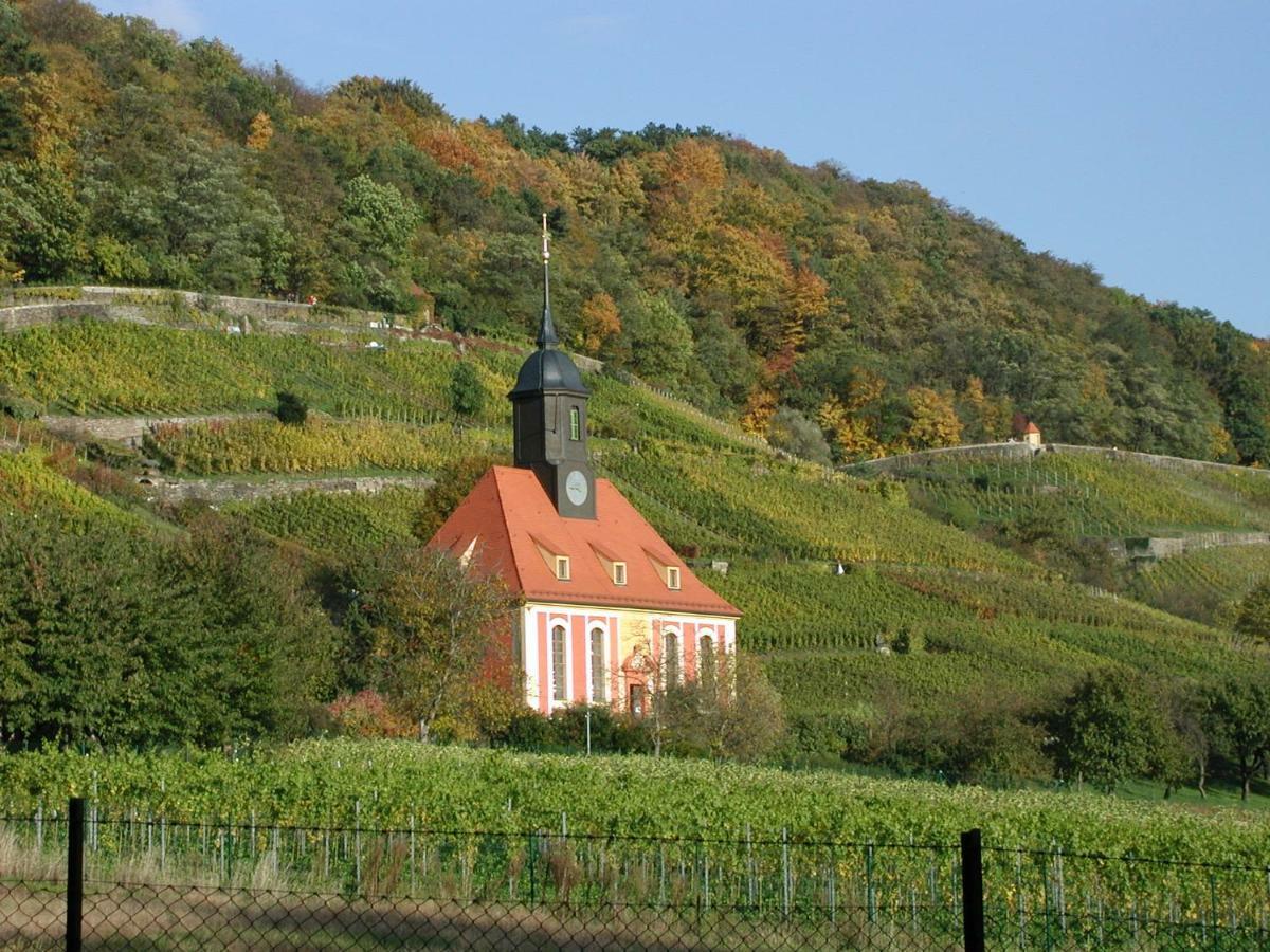 Ferienwohnung Natur Und Kunst Dresden Eksteriør billede