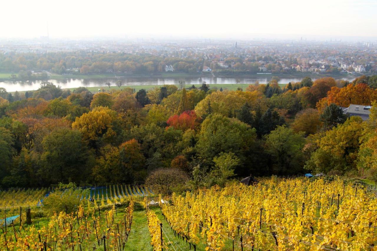 Ferienwohnung Natur Und Kunst Dresden Eksteriør billede